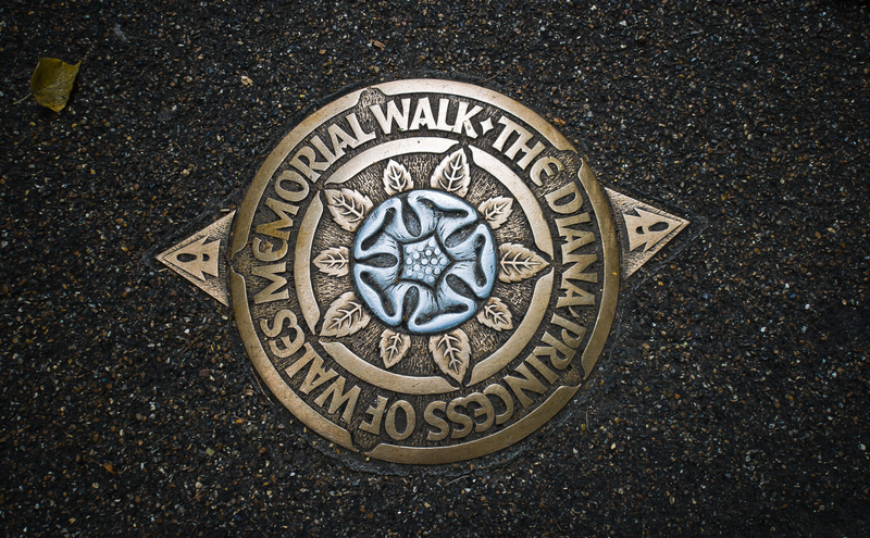 landscape design garden